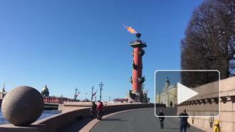 В День Победы в Петербурге зажгли Ростральные колонны