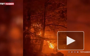 В Турции почти 20 человек пострадали из-за лесных пожаров
