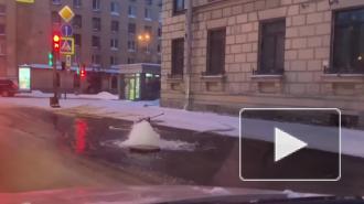 На Заневском проспекте из-под земли забил фонтан воды