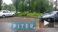 Видео: на Кингисеппском шоссе деревья обрушились на неск...