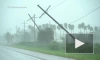 В Луизиане более миллиона человек остались без света из-за урагана "Ида