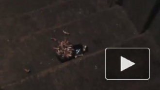 Незаконное заселение. В аварийном  доме на Шкапина обустраиваются новые жильцы