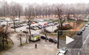Видео: в Петербурге пошел снег хлопьями