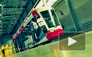  Низкопольные трамваи завоевывают Петербург: в ближайшее время в городе заменят 350 трамваев