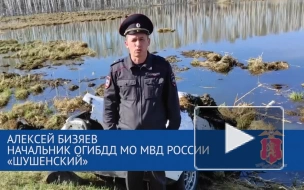 В Красноярском крае пять человек погибли при падении автомобиля в водоем