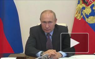 В Госдуме предложили ввести обязательную регистрацию собак