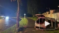 На улице Красина водитель Toyota врезался в дерево, ...
