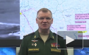Минобороны РФ: два батальона ВСУ потеряли на Николаево-Криворожском направлении 30% личного состава