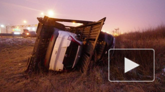 ДТП в Санкт-Петербурге: на КАД перевернулся автовоз с иномарками, на Петергофском шоссе погиб водитель Хонды