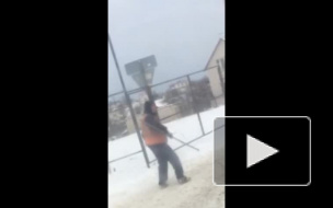 Видео из Воронежа: пользователи соцсетей пошутили, что дорогу им ремонтирует черепашка-ниндзя
