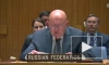 Небензя: РФ не услышала от Гутерриша осуждения обстрелов Украиной ЗАЭС