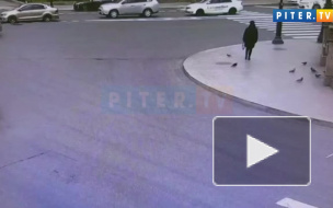 Власти Петербурга помогут семье женщины, погибшей в ДТП в центре города