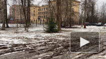 Жители Ржевки недовольны отсутствием тротуаров у единственной школы в микрорайоне 
