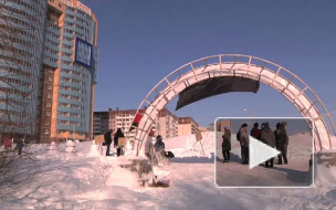 Снеговики вышли на митинг, чтобы спасти Юнтолово