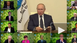 Путин заявил на саммите АТЭС о готовности к совместным действиям против COVID-19