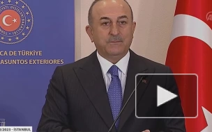 Глава МИД Турции усомнился в союзничестве стран, закрывших консульства в Стамбуле