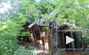 Маньяк надругался над 16-летней девушкой, обмотал руки скотчем и вывез в лес: ее нашли отдыхающие в полуживом состоянии