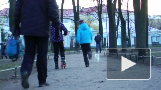 Собака Юрия Гальцева погибла в результате массовой травли в Никольском сквере