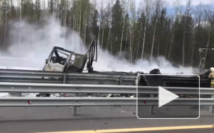 Видео: на трассе М-11 под Новгородом сгорел грузовик