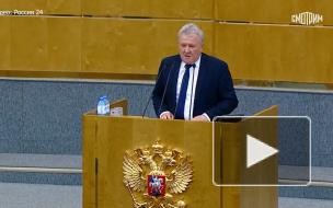 Госдума приняла закон о запрете высаживать детей-безбилетников