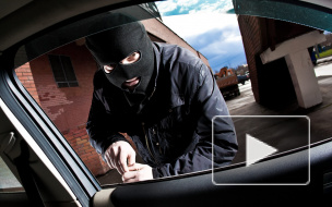 Петербурженка ищет кота и собаку, уехавших в угнанной машине