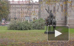 Дыхание Петербурга: интересные события недели 