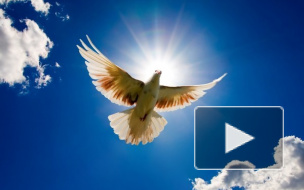 На Благовещение, 7 апреля, можно есть рыбу и нельзя работать