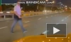 Казанский инспектор помог перейти собаке через дорогу