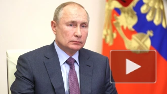 Путин выступил против введения QR-кодов на транспорте под Новый год