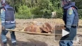 Авиабомбу времен ВОВ уничтожили в Ленобласти