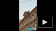 На Итальянской улице молодые люди устроили танцы на крыш...
