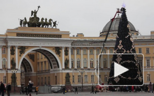 Новогодний Петербург будут украшать 17 искусственных елей