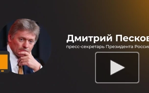 Песков назвал слухи о переговорах Козака с ЕС по Украине "уткой"