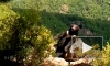 В национальном парке "Земля леопарда" гималайский медведь попал на видео