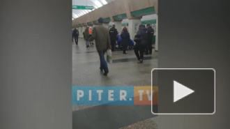 Утренний сбой поездов по "зеленой" ветке в метро вызван упавшим на рельсы петербуржцем