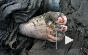 В Петербурге открыли сезон утопленников: шестиклассник утонул в Дудергофке