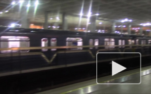 Станцию метро "Девяткино" не будут закрывать на время ремонта