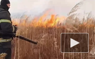 В Приморье локализовали природный пожар