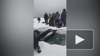 200 рыбаков унесло на льдине в Охотское море у побережья Сахалина.