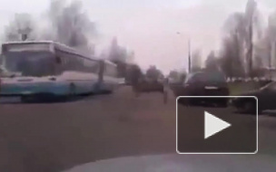 В Белоруссии лосенок пытался протаранить автобус
