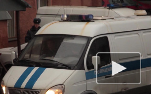 В московском парке "Братцево" спиленное дерево упало на коляску, полугодовалая девочка в больнице