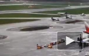 Общественность возмутилась увольнением сотрудника МВД, который распространил видео момента катастрофы в Шереметьево 