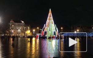 Названа самая красивая рождественская елка Европы