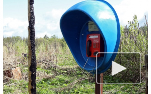 Звонки в Ленобласть могут стать еще дешевле