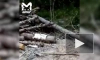 В Хабаровском крае на мужчину напал тигр