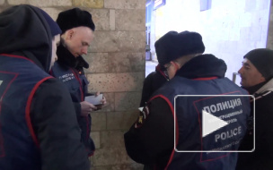 Петербургские полицейские нашли 54 мигранта-нелегала в ходе проверочного рейда