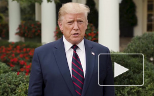 Трамп согласился на саммит "пятерки" Совбеза ООН по инициативе Путина