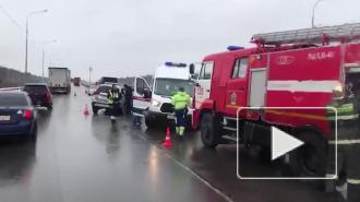 ДТП на трассе "Кола" в Кировском районе создало пробку