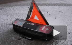 Под Петербургом в аварии погибла 10-летняя девочка