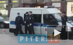 У метро "Гостиный двор" проходят одиночные пикеты